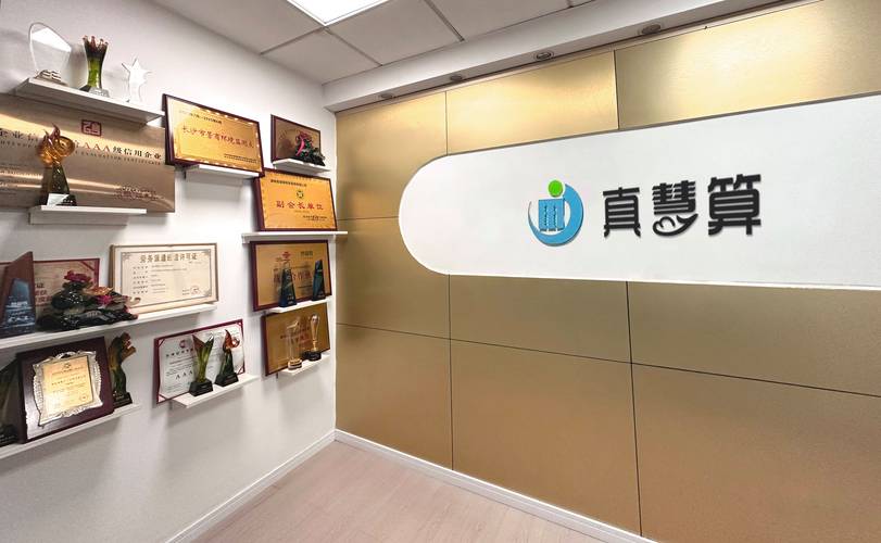 长沙财务咨询专业公司推荐 真慧算如何赋能企业降本增效
