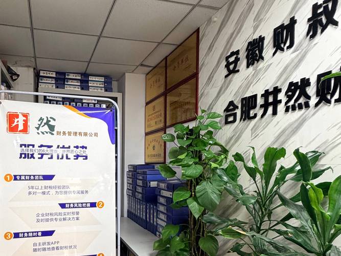 井然财务高企申报咨询专业吗 井然财务高企申报咨询专业吗