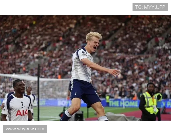 热刺3-0战胜埃弗顿范德芬荣膺队内最佳球员称号