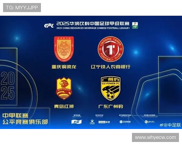 中超官方公布11月最佳候选名单瓦科吴曦法比奥王燊超争夺荣誉