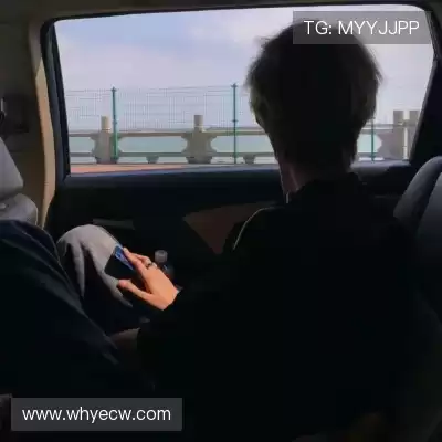 杜颢炼